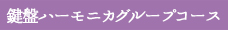 鍵盤ハーモニカグループコース